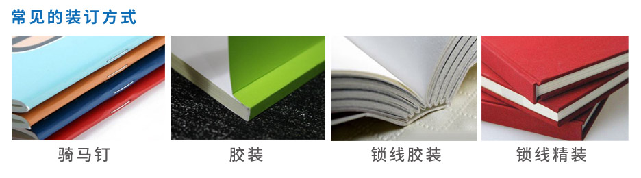 雜誌設計PRUBURB18+-A4[規格210*297mm]廣告紙-封麵光膜-專版PRUBURB18+(圖4)